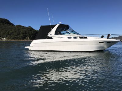 searay001.JPG