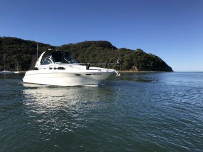 searay017.JPG