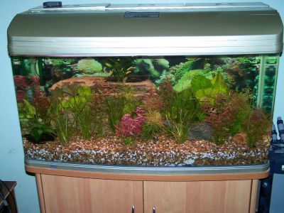 fishtanks002.jpg