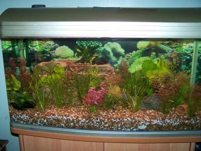 fishtanks003.jpg