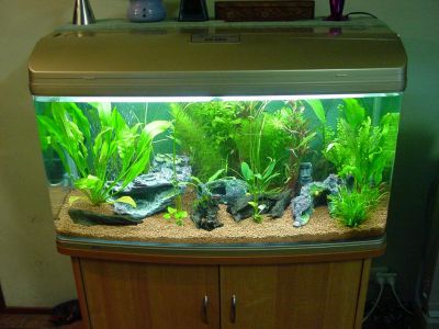 fishtanks011.jpg