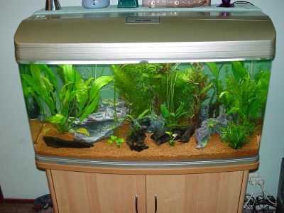 fishtanks012.jpg