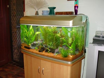 fishtanks015.jpg